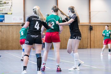 Bild 113 - F HSG Kre/Mue - HFF Munkbrarup : Ergebnis: 49:20